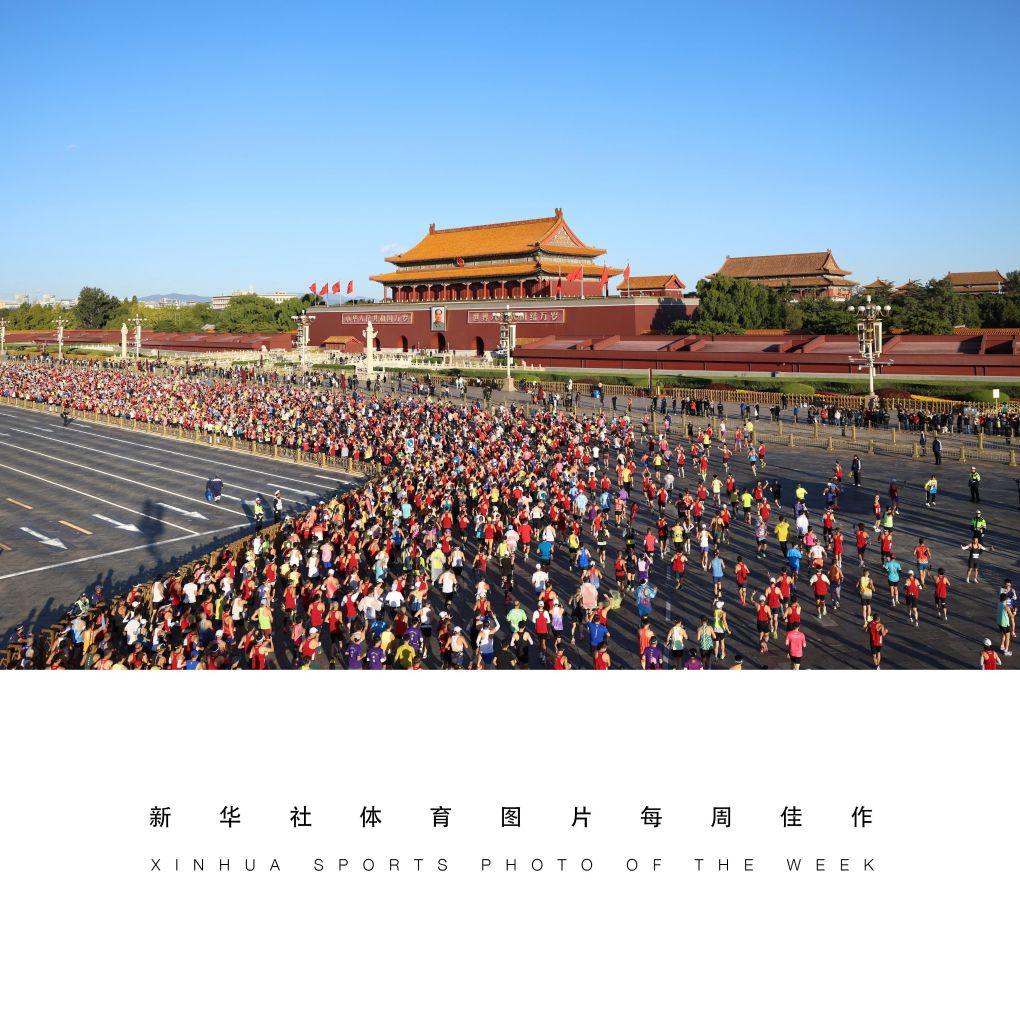 vinbet浩博介绍图片
